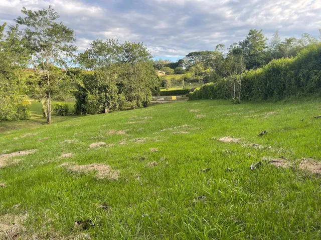 SE VENDE LOTE CAMPESTRE, VITERBO, CALDAS - Foto 10