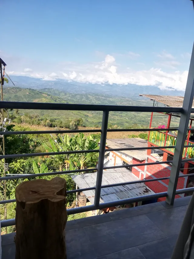 Se Vende Finca Vereda Alto Lisboa, Manizales - Foto 6