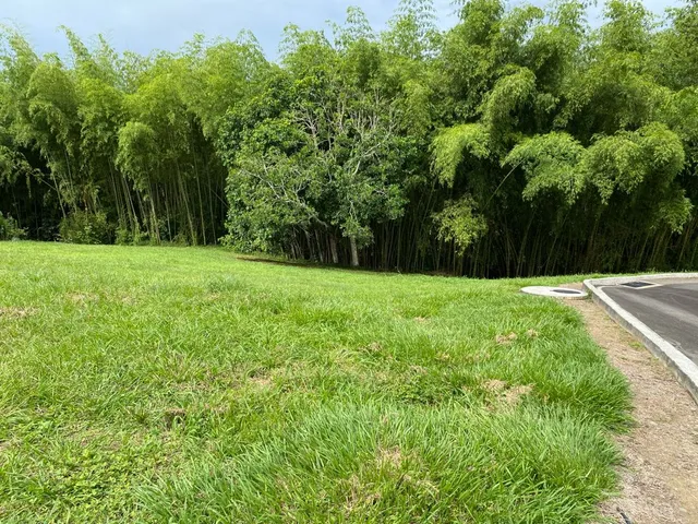SE VENDE LOTE CAMPESTRE, PEREIRA, CERRITOS MALABAR - Foto 9