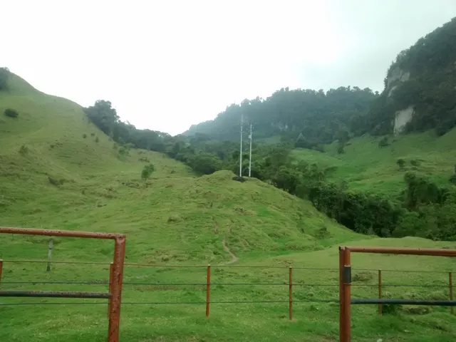 Se Vende Finca en Villamaría, Parque los Nevados. - Foto 14