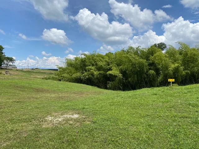 Se vende lotes, Pereira, Cerritos, Malabar - Foto 5
