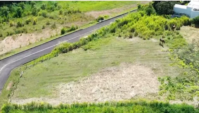 VENDO LOTE PEREIRA, CERRITOS, MALABAR