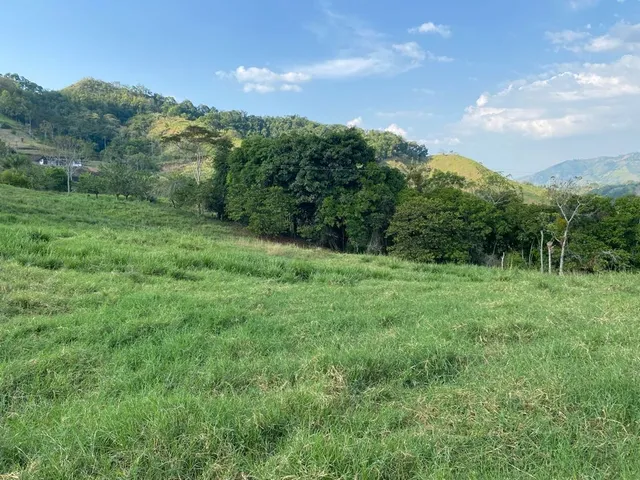 Se Vende Lote Campestre Pereira, Cerritos - Foto 4