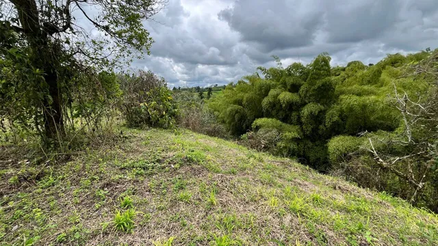 Se vende lote campestre Alcala Valle - Foto 8