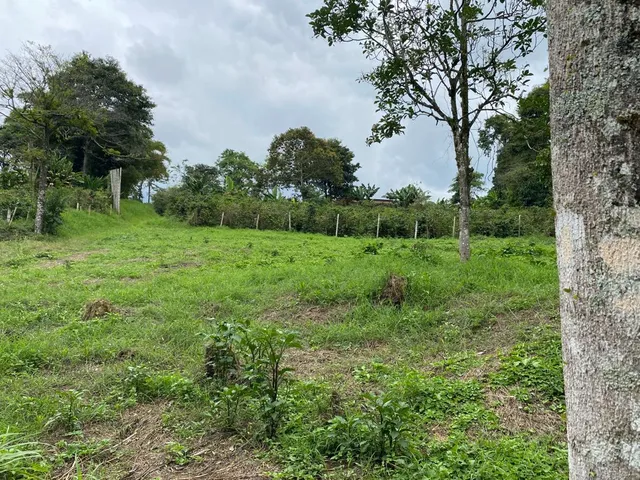 Se vende Lote Campestre, Pereira, Mundo Nuevo - Foto 4