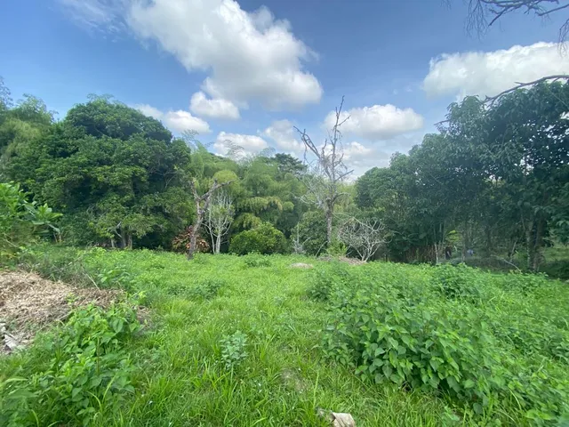 SE VENDE LOTE SUBURBANO PEREIRA, CERRITOS - Foto 4