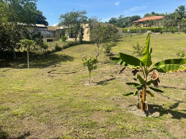 Se vende lote Viterbo Caldas - Foto 15