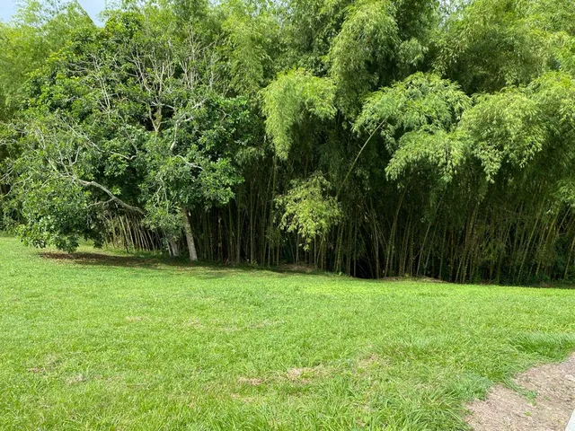 SE VENDE LOTE CAMPESTRE, PEREIRA, CERRITOS MALABAR - Foto 13