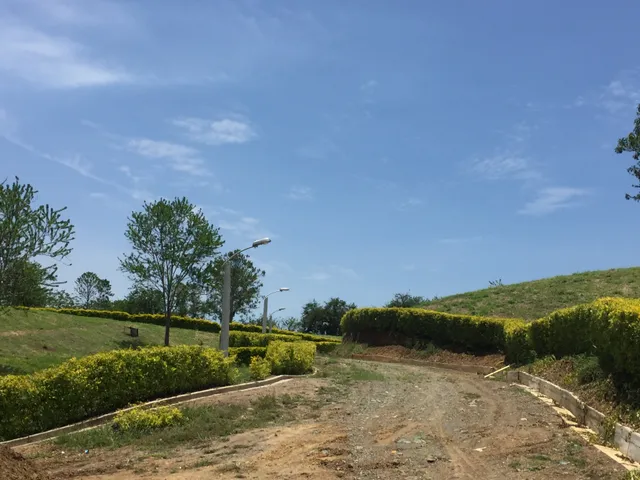 Se vende Lote en Viterbo, Caldas - Foto 5
