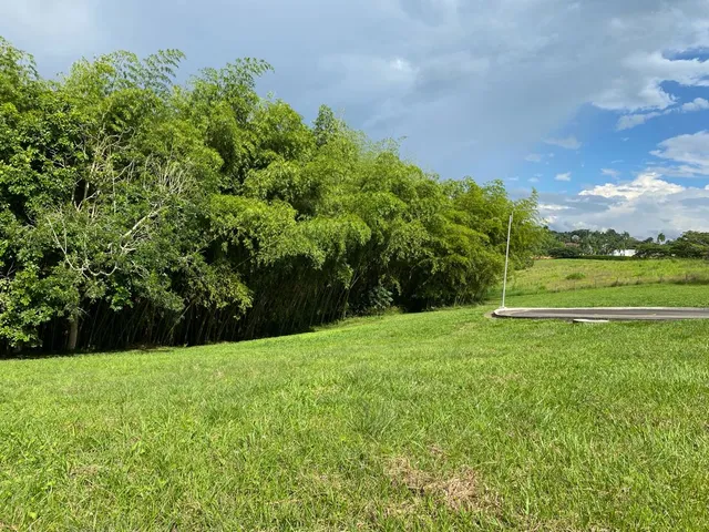 SE VENDE LOTE CAMPESTRE, PEREIRA, CERRITOS MALABAR - Foto 31