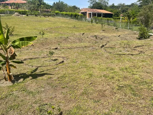 Se vende lote Viterbo Caldas - Foto 12