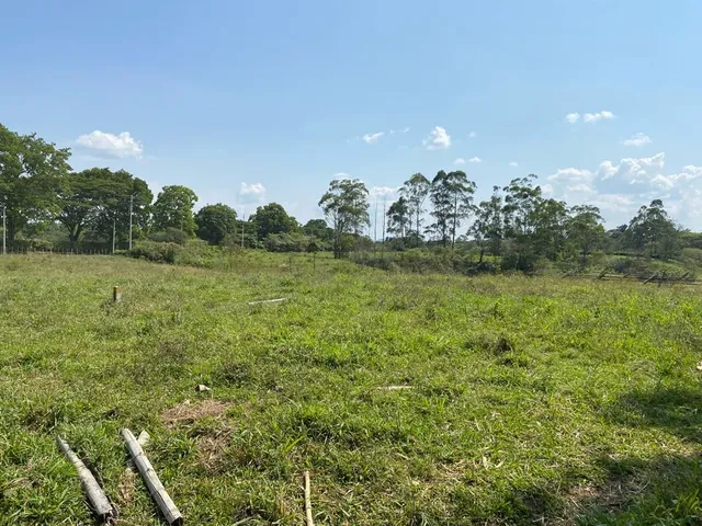 Se vende Lote, campestre, Pereira, Cerritos. - Foto 4