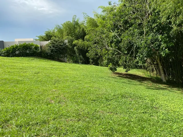 SE VENDE LOTE CAMPESTRE, PEREIRA, CERRITOS MALABAR - Foto 16