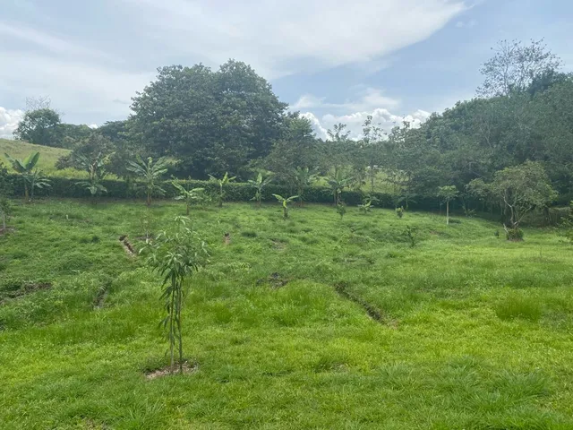 Se vende lote Viterbo Caldas - Foto 17