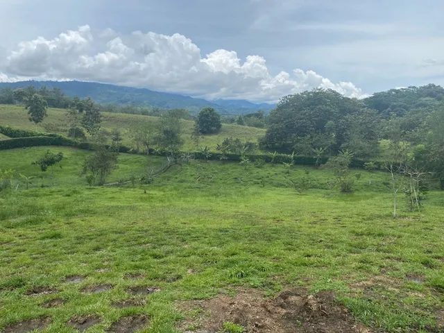 Se vende lote Viterbo Caldas - Foto 16