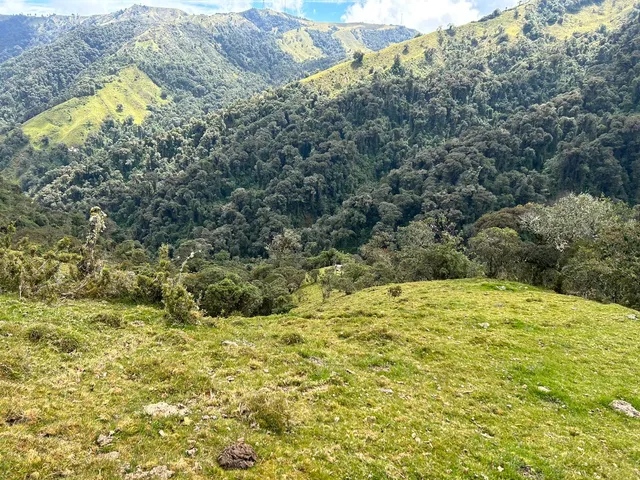 Se Vende Finca en Letras Caldas - Foto 11