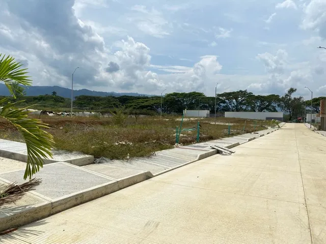Se vende Lote, Viterbo, Caldas - Foto 4