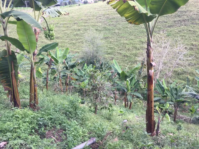 SE VENDE LOTE, PEREIRA, VIA CONDINA - Foto 17