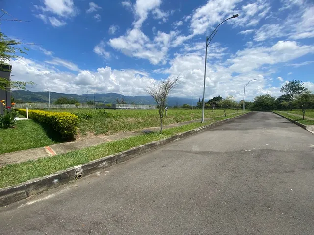 SE VENDE LOTE, VITERBO, CALDAS - Foto 2