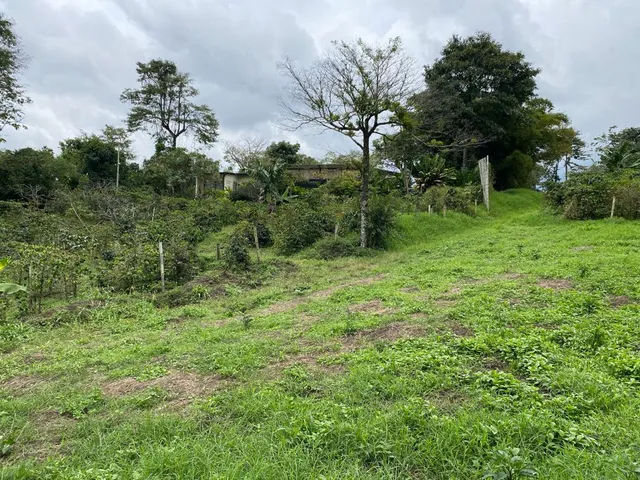 Se vende Lote Campestre, Pereira, Mundo Nuevo - Foto 10
