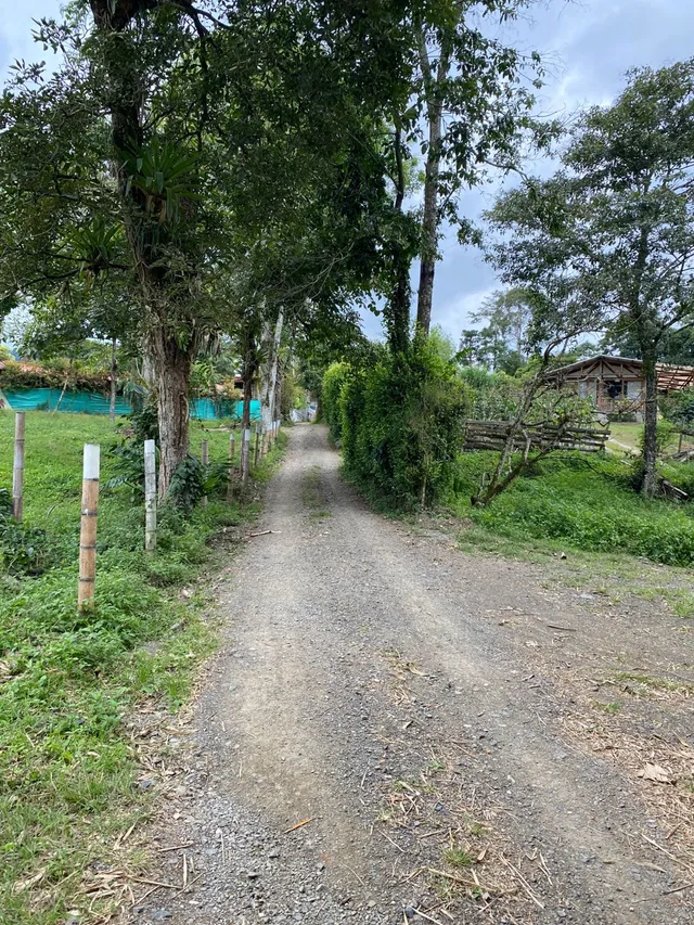 Se vende Lote Campestre, Pereira, Mundo Nuevo - Foto 6