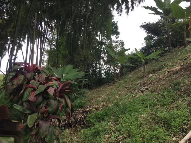 SE VENDE LOTE, PEREIRA, VIA CONDINA - Foto 9